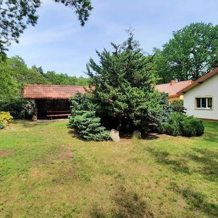 Dom wakacyjny Grabówka 18a Milicz Exterior foto